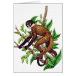 Howler Monkey cards