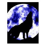 Howling Wolf at Moon Post Card