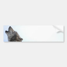 Howling Wolf in Snow Bumper Stickers
