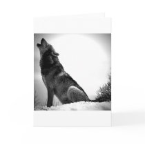 Howling Wolf in Snow