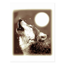 Howling Wolf postcards