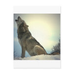 Howling Wolf