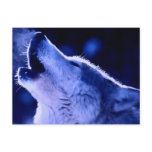 Howling Wolf