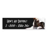 How's My Driving Tiger Bumper Sticker