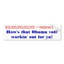 How's that Obama Vote workin' out for ya?