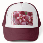 Hoya pubicalyx Hat
