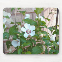 HPIM0582 MOUSE MATS