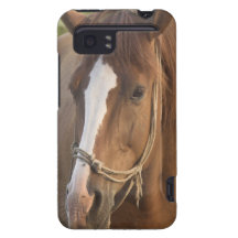 HTC Vivid Case - Customised