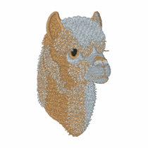 Huacaya Alpaca