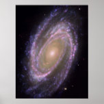 Hubble - Galex - Spitzer Composite Image of M81 posters