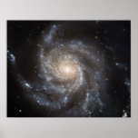 Hubble's Largest Galaxy Portrait  posters