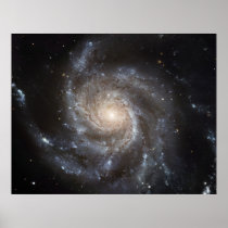 Hubble's Largest Galaxy Portrait  Print