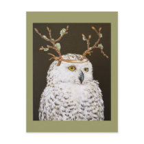 Hudson the snowy owl postcard
