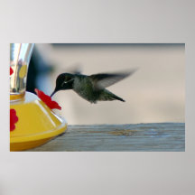 Hue the Hummingbird ~Print~