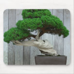 Huge Juniper Bonsai Mousepad