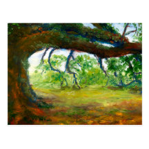 Huge Old Louisiana Oak Tree Post Cards