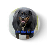 huge rottweiler, i am the best! buttons