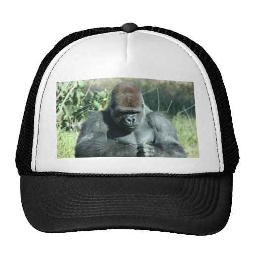 Huge Silver Back Gorilla Hats