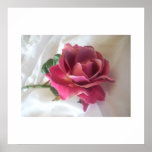 Huge Single Rose Canvas posters