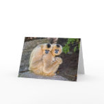 Hugging Buff Cheeked Gibbons Card