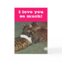 Hugging Cats cards