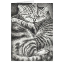 HUGGING TABBY CATS CARDS