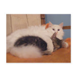 HugZ postcard