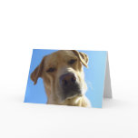 Huh? Greeting Card