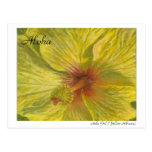 Hula Girl (Yellow Hibiscus) Postcard