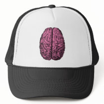 Human Anatomy Brain