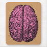Human Anatomy Brain Mouse Pads