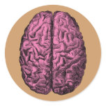 Human Anatomy Brain stickers