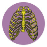 Human Anatomy Rib Cage stickers
