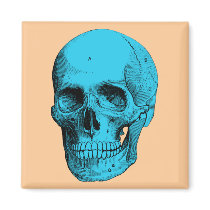 Human Anatomy Skull Refrigerator Magnet