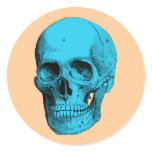 Human Anatomy Skull Round Stickers