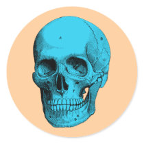 Human Anatomy Skull Round Stickers