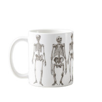 Human and Ape Skeletons Primate Missing Link Mug