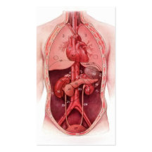 human body parts medical business cards