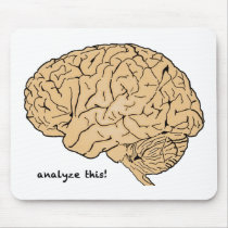 Human Brain: Analyse This!
