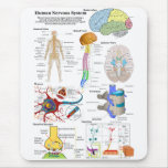Human Brain and Central Nervous System Diagram mousepads