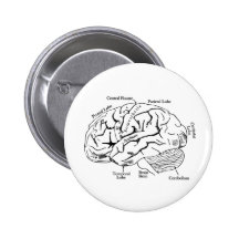 Human Brain Pinback Button