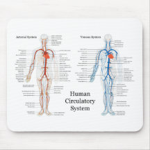 Human Circulatory System of Arteries and Veins Mouse Pad