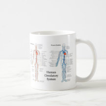 Human Circulatory System of Arteries and Veins Coffee Mugs