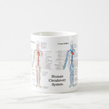 Human Circulatory System of Arteries and Veins Coffee Mugs