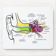 Human Ear Diagram with Cochlear Frequency Mapping Mousepad