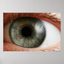 Human Eye Poster
