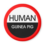 Human Guinea Pig magnets