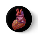Human heart button