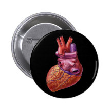 Human heart button