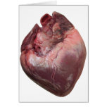Human Heart Cards